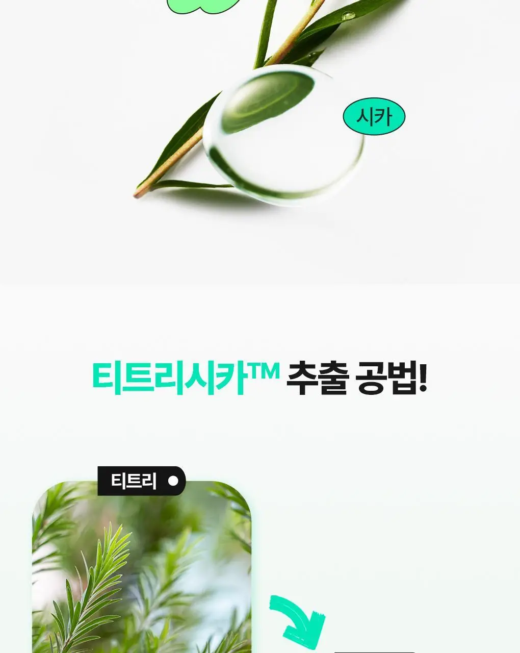 [1분진정] 브링그린 티트리 시카 트러블 수딩 토너패드 90매 (리필기획/단품) 상세페이지 29